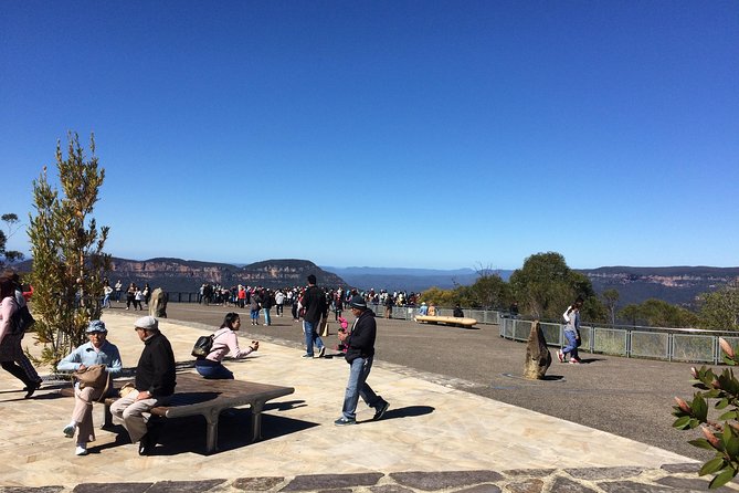 PRIVATE All Blue Mountains Tour, Wildlife Park and River Cruise - Exploring the Blue Mountains