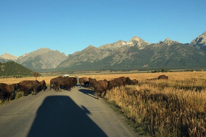 Private All-Day Tour of Grand Teton National Park - Expert Guide Services
