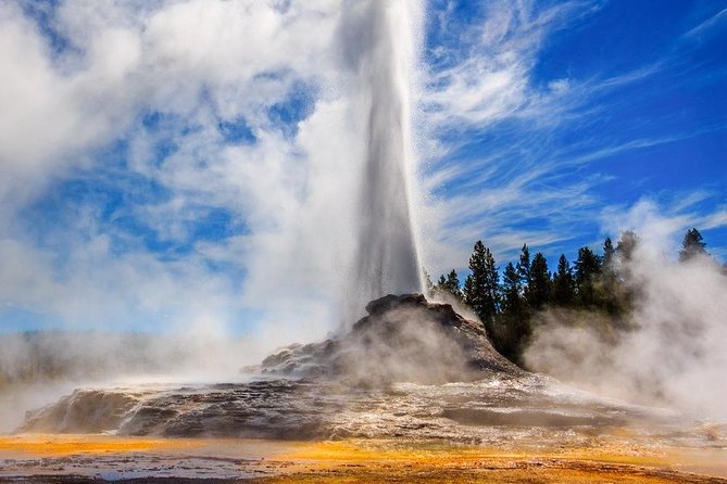 Private All-Day Tour of Yellowstone National Park - Cancellation Policy