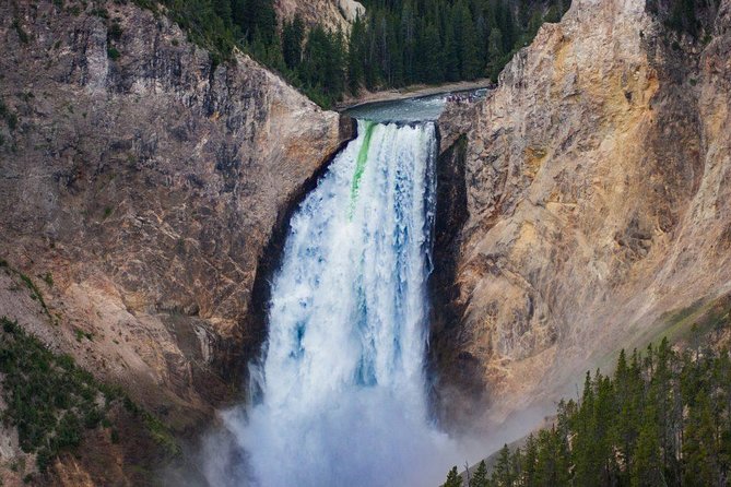 Private All-Day Tour of Yellowstone National Park - What to Bring
