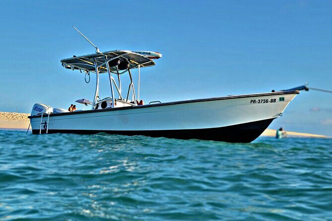Private All-Inclusive 22ft Boat Guided Snorkeling Icacos Palomino - The Value and Who It’s Best For