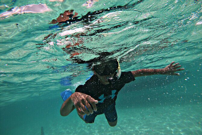 Private All-Inclusive 22ft Boat Guided Snorkeling Icacos Palomino - Practical Tips Before You Go