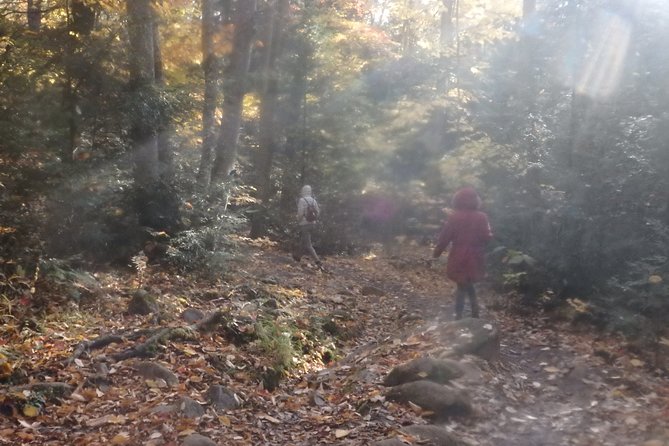 Private All-Inclusive Algonquin Tours (3 Day Guided Camping) - Guided Hike and Activities