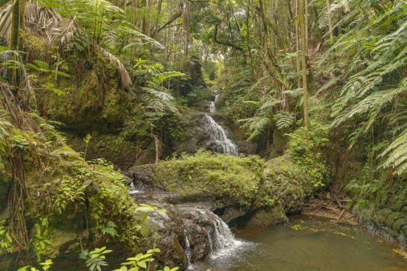 Private: All Inclusive Big Island Waterfalls Tour - What Makes This Tour Stand Out