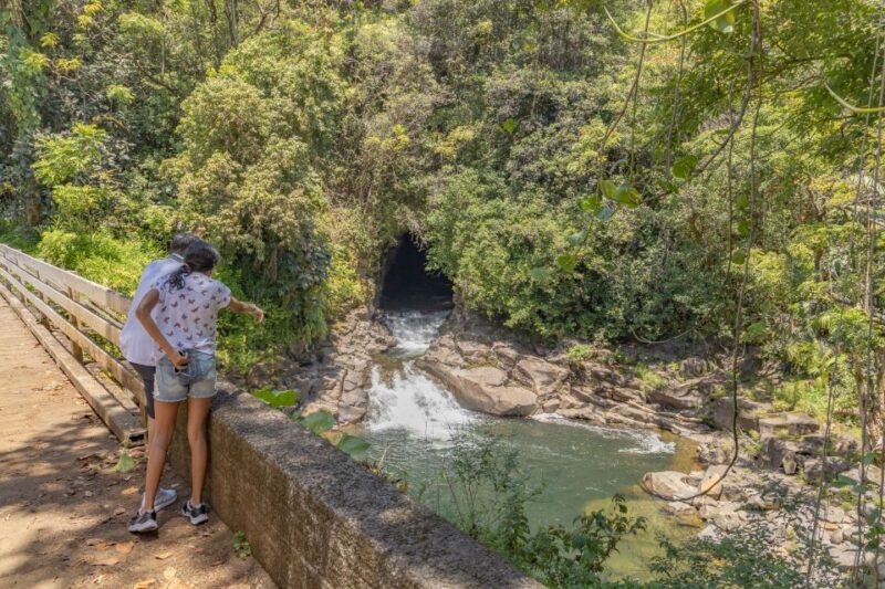 Private - All Inclusive Big Island Waterfalls Tour - Key Points