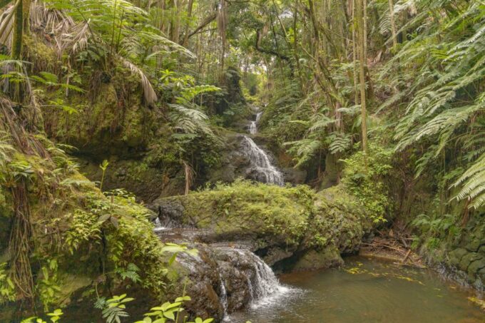 Private - All Inclusive Big Island Waterfalls Tour - Waterfall Location