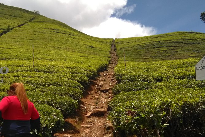 Private All Inclusive Day Tour Kandy, Pinnawala, & Your Own Selected Attractions - Inclusions and Exclusions
