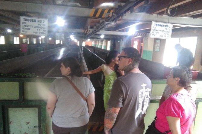 Private All Inclusive Day Tour Kandy, Pinnawala, & Your Own Selected Attractions - Pricing and Booking