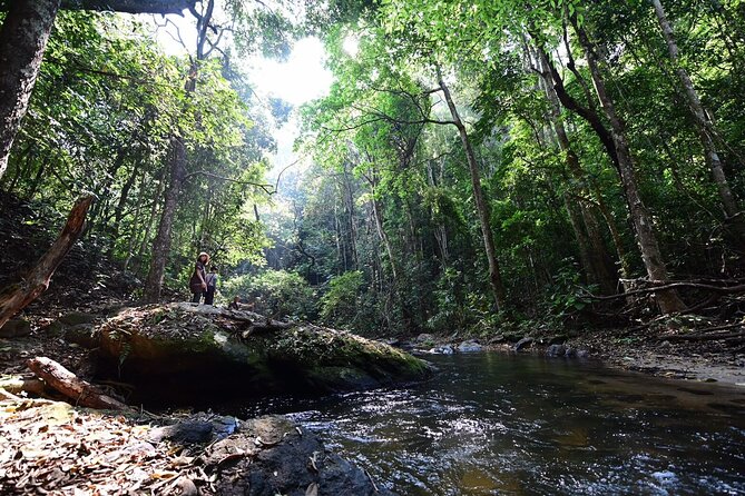 Private All-Inclusive Doi Inthanon & Pha Dok Siew Waterfall Tour - Scenic Views and Hiking