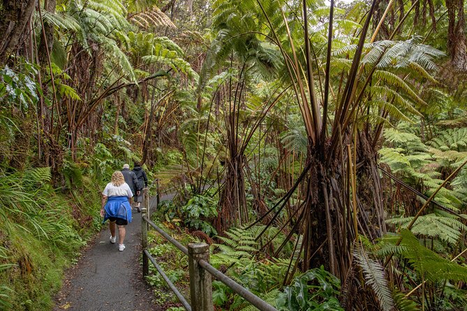 Private - All Inclusive Hawaii Volcanoes National Park Tour - Traversing the Chain of Craters Road