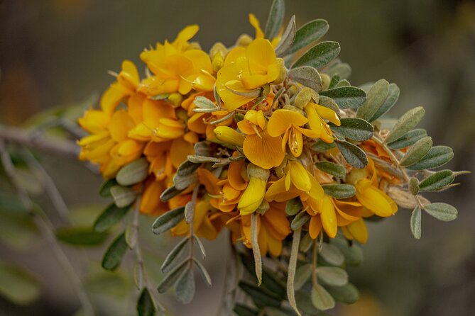 Private - All Inclusive High Country Adventure - Exploring Volcanic Landscapes