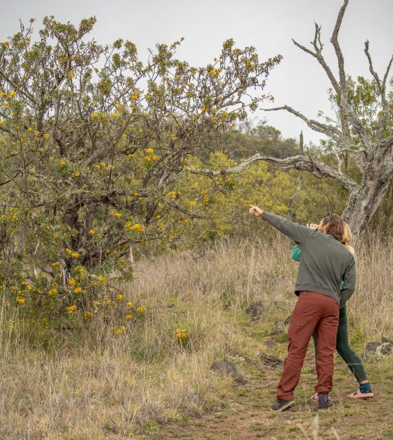 Private - All Inclusive High Country Adventure - Experience Highlights