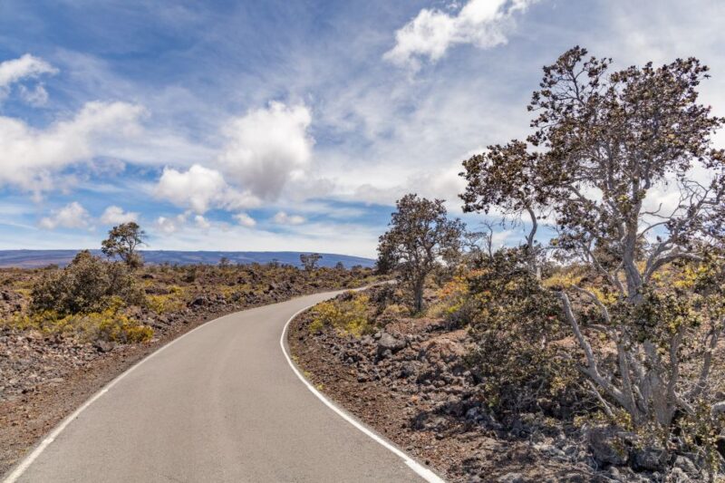 Private - All Inclusive High Country Adventure - Customer Feedback