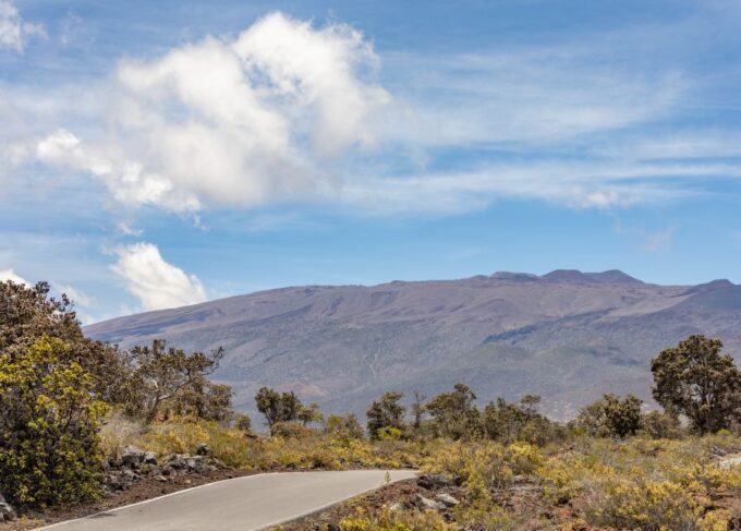 Private - All Inclusive High Country Adventure - Mauna Kea Forest Adventure