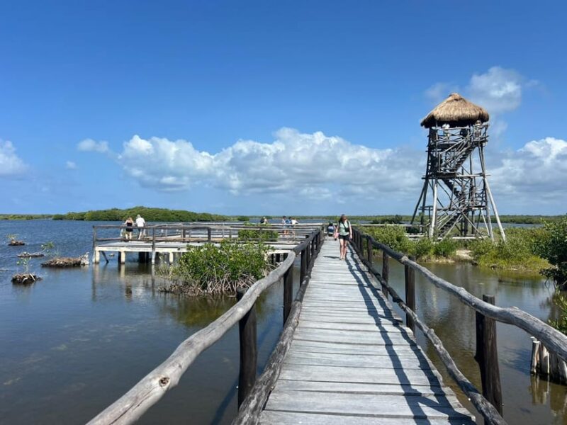 Private All Inclusive Jeep Tour at Cozumel & Punta Sur Park - Itinerary Highlights