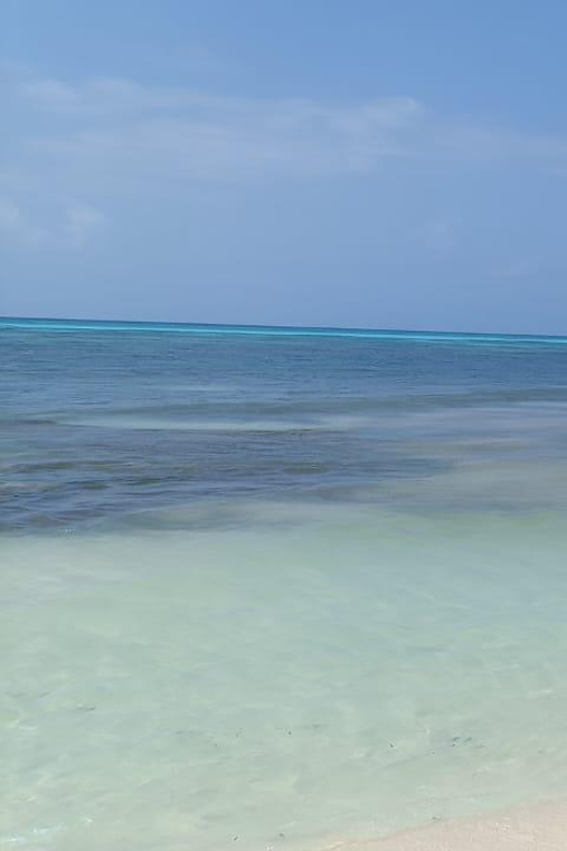 Private All Inclusive Jeep Tour at Cozumel & Punta Sur Park - Inclusions