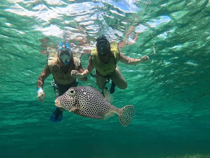 Private All Inclusive Jeep Tour at Cozumel & Punta Sur Park - Important Information for Participants