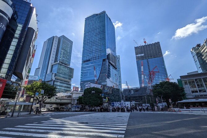 Private All Inclusive Neo Tokyo Tour on a Luxury Car - Dietary and Special Requirements