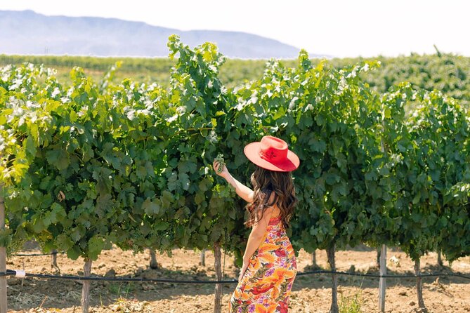 Private All-Inclusive Santa Ynez Wine Tour From Santa Barbara - Key Points