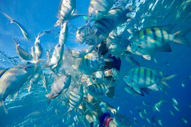 Private all-inclusive snorkeling at sosua beach. - Final Thoughts