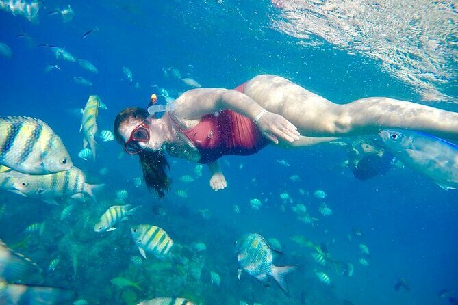 Private all-inclusive snorkeling at sosua beach. - FAQ