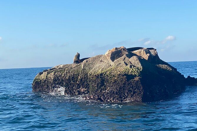 Private All Inclusive Snorkeling Experience in Mazatlan - Meeting Points and Practical Details