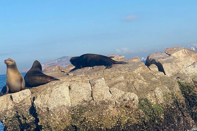 Private All Inclusive Snorkeling Experience in Mazatlan - Who Would Enjoy This Experience?