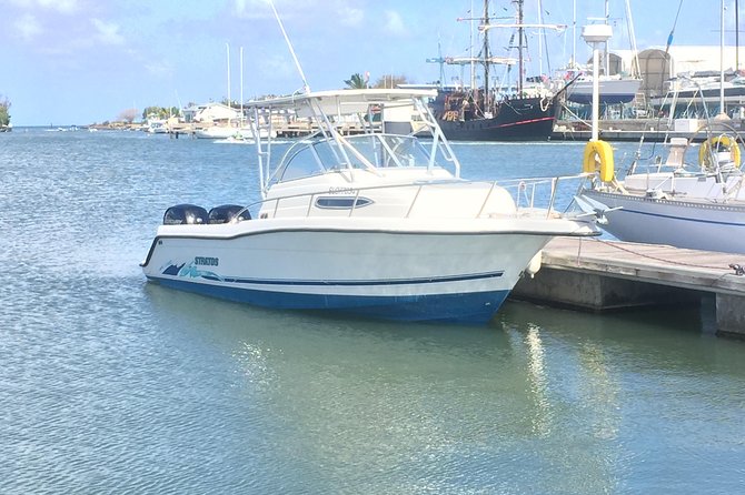 Private All Inclusive Speedboat to Soufriere With Lunch, Mud Bath & Waterfall - Health and Safety Considerations
