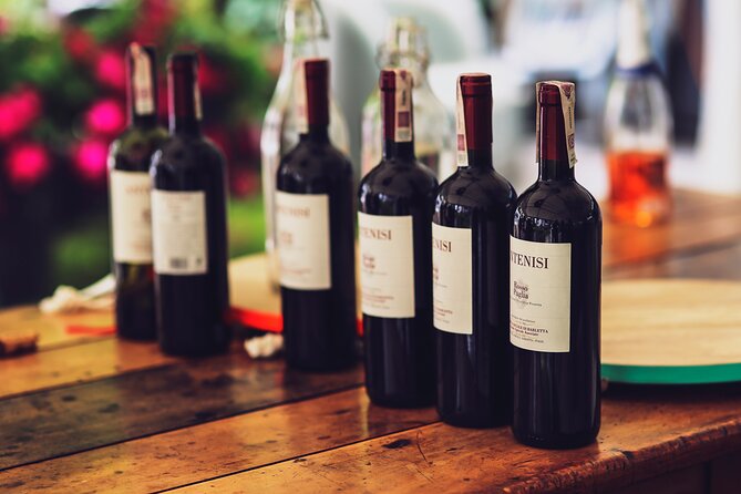 Private All-Inclusive Wine Tasting Tour From Santa Barbara - Driver and Guide Experience