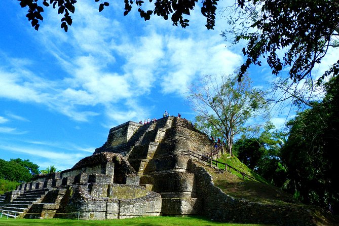 Private Altun Ha Maya Ruin & Howler Monkey Adventure From Belize City - Departure and Pickup Details