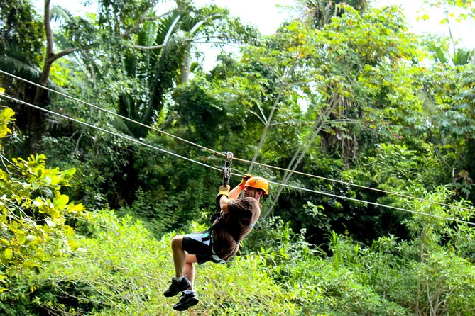 Private Altun Ha Maya Ruin & Zip Line Adventure From Belize City - Zipline Features