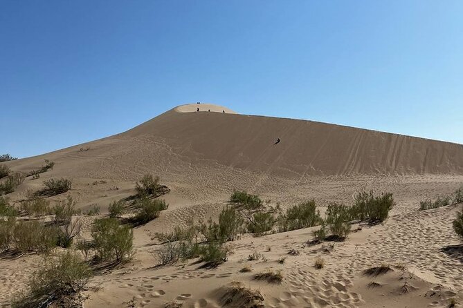 Private Altyn-Emel National Park Tour Experience - Accessibility and Participation