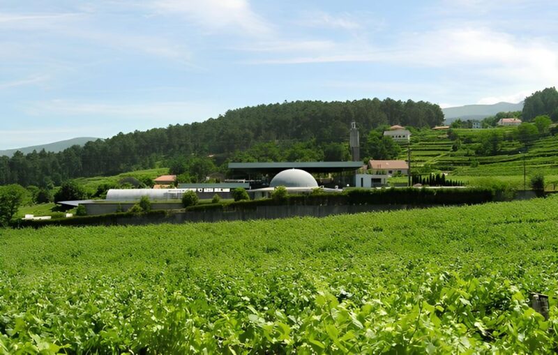 Private Alvarinho Route Tour - Inclusions