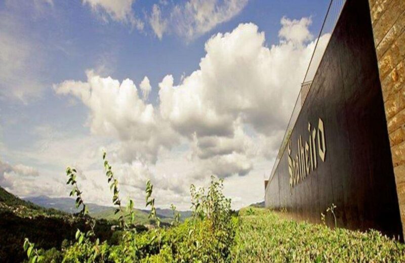 Private Alvarinho Route Tour - Booking Information