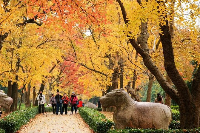 Private Amazing Nanjing City Day Tour in Your Way - Key Points