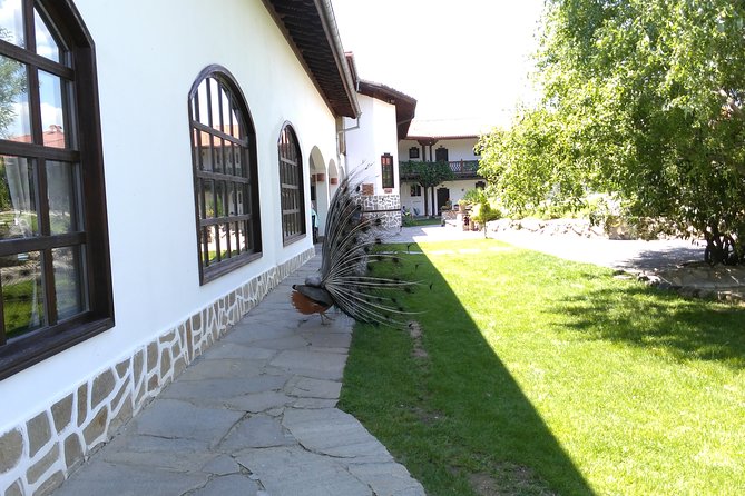 Private Ancient History Spa and Wine From Sofia - Meeting and Pickup