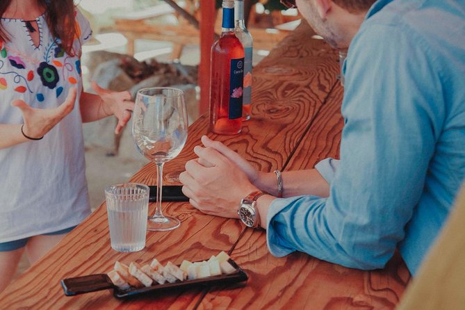 Private and Custom Group Wine Tour Valle De Guadalupe - Family and Group-Friendly Options