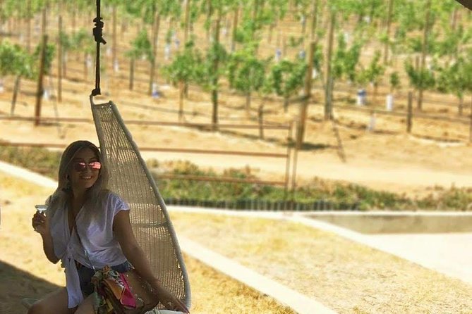 Private and Custom Group Wine Tour Valle De Guadalupe - Pricing and Booking Information