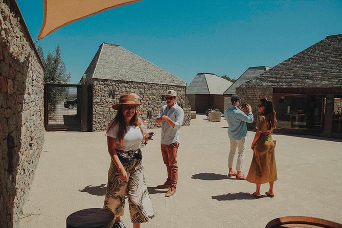 Private and Custom Group Wine Tour Valle De Guadalupe - Local Culture and Cuisine