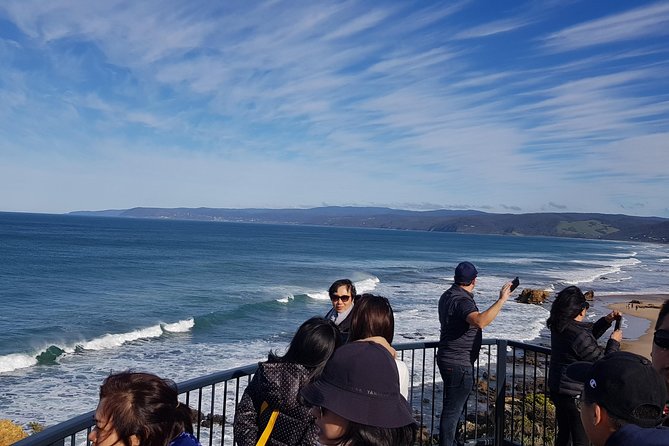 Private and Customised Great Ocean Road and 12 Apostles Tour - Customer Experiences
