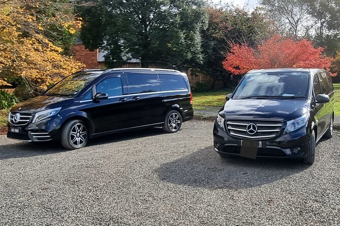Private and Customised Great Ocean Road and 12 Apostles Tour - Booking Information