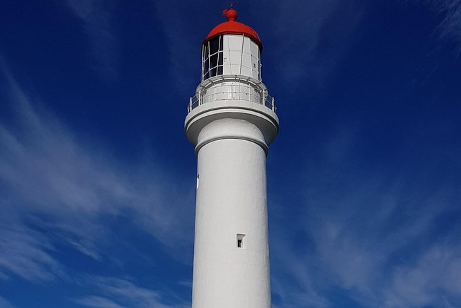 Private and Customised Great Ocean Road and 12 Apostles Tour - Highlights and Key Attractions