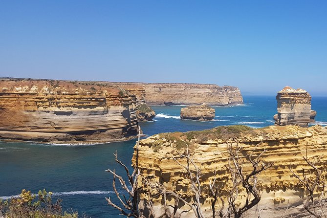 Private and Customised Great Ocean Road and 12 Apostles Tour - Itinerary and Wildlife Spotting