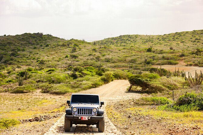 Private and Customized Aruba 4X4 Jeep Adventure - Why Choose a Private Jeep Adventure in Aruba?