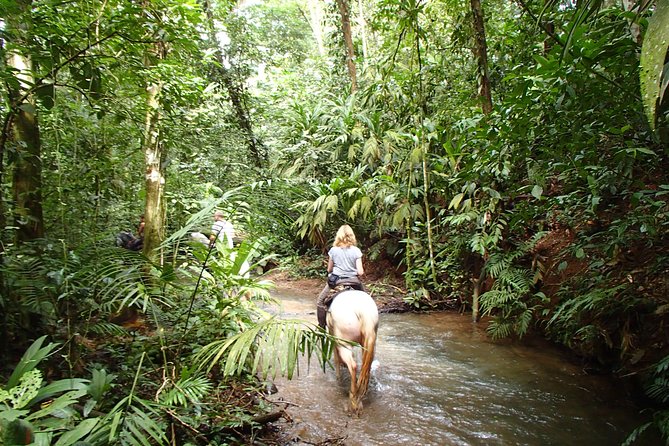 Private and Customized Horseback Riding Adventures - Health and Accessibility