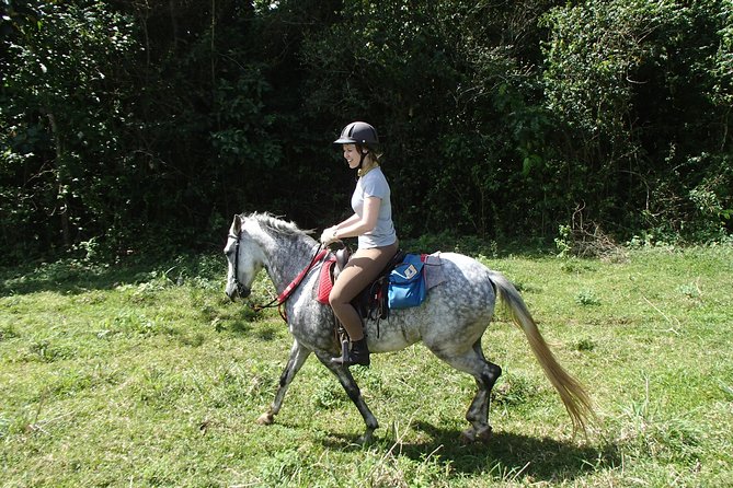 Private and Customized Horseback Riding Adventures - Exploring Stunning Landscapes