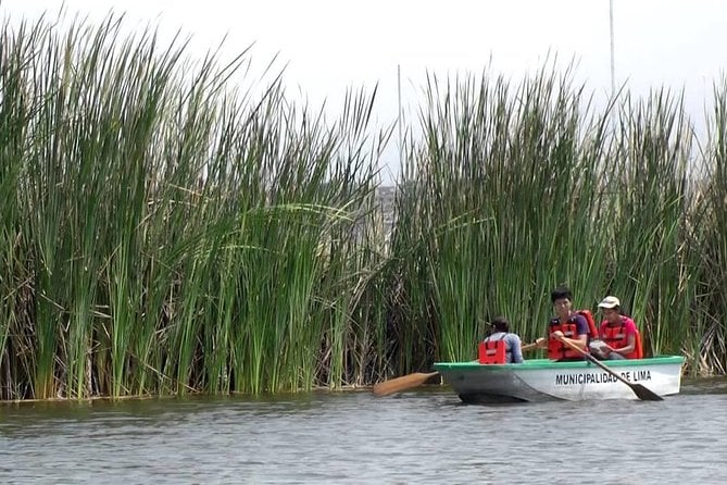 Private and Exclusive Nature and Trek in Chorrillos - Exceptional Customer Reviews