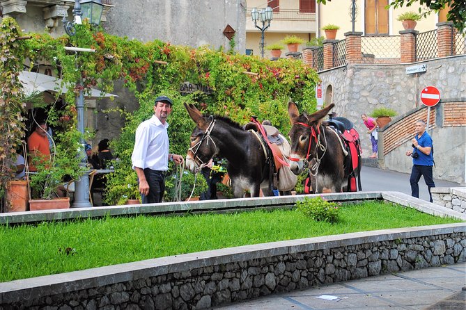 Private and Guided Godfather Tour With Traditional Lunch - Positive Guest Reviews