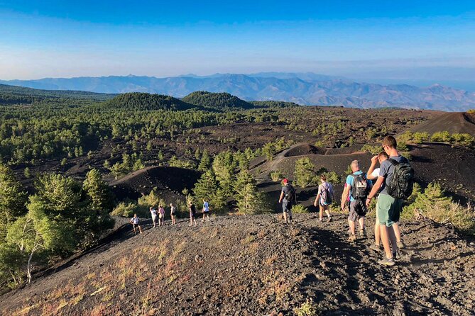 Private and Guided Tour on Etna With Wine Tasting Included - Highlights of the Tour