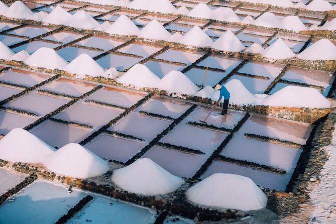 Private and Guided Tour to the Salinas De Janubio With Tasting - Tasting and Flavors